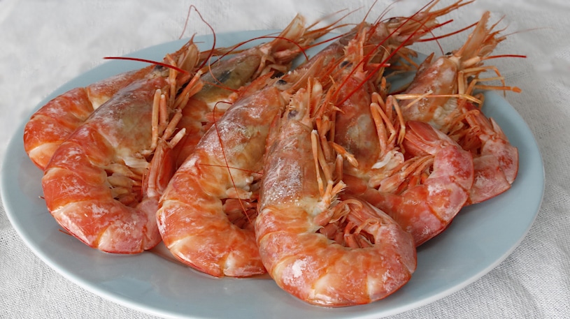 Como Cocer Langostinos: Tiempos y Trucos Como Cocer Langostinos: Tiempos y Trucos