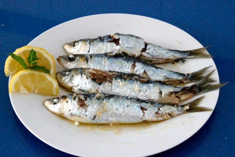 Sardinas sin humos ni olores Sardinas sin humos ni olores